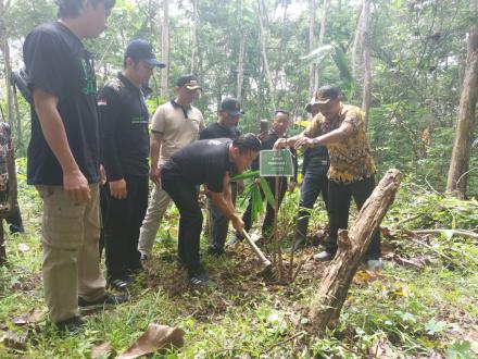 GERAKAN PENANAMAN BAMBU DI HUTAN TAPAN